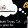 Concurs Ziua pisicii - Grumpy Cat