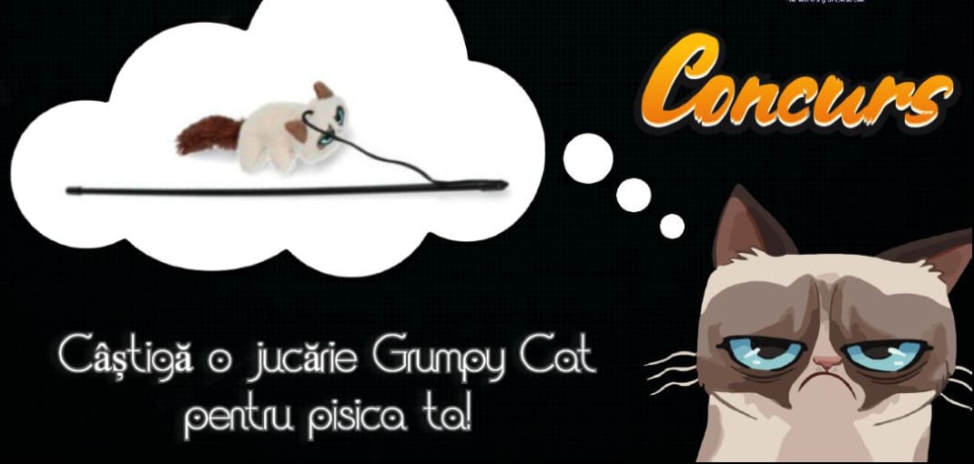 Concurs Ziua pisicii - Grumpy Cat