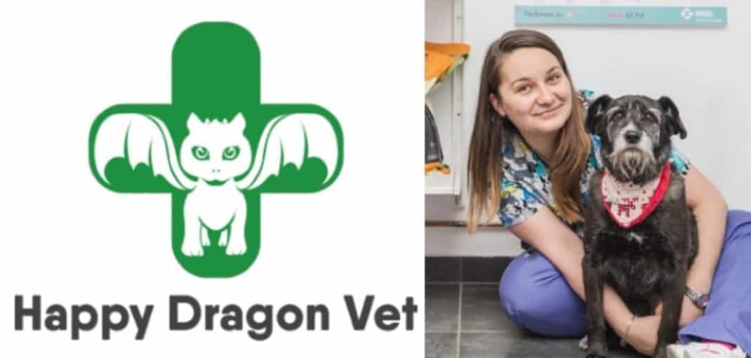 Happy Dragon Vet