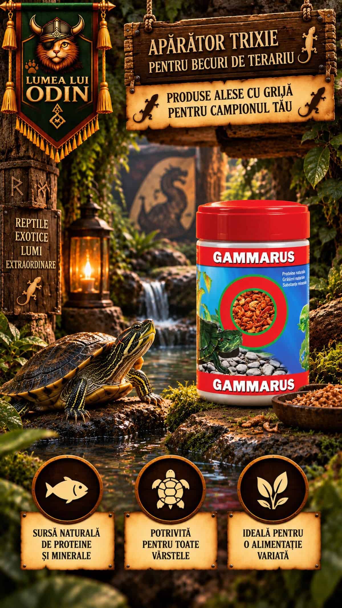 Gammarus pentru broscuțe țestoase