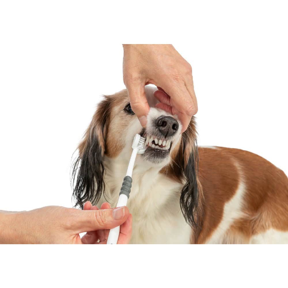periuta-dinti-trixie-caini-pisici-1