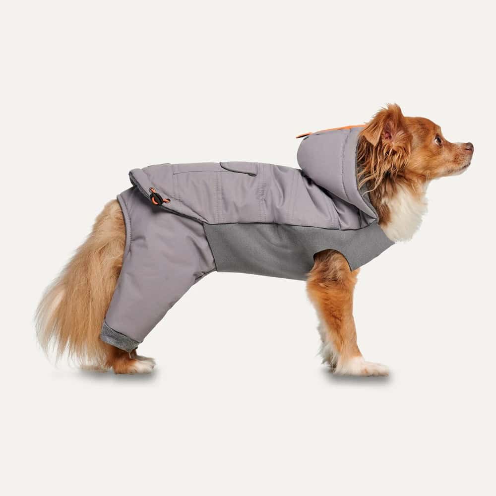 haina-iarna-goeez-caini-XL-1