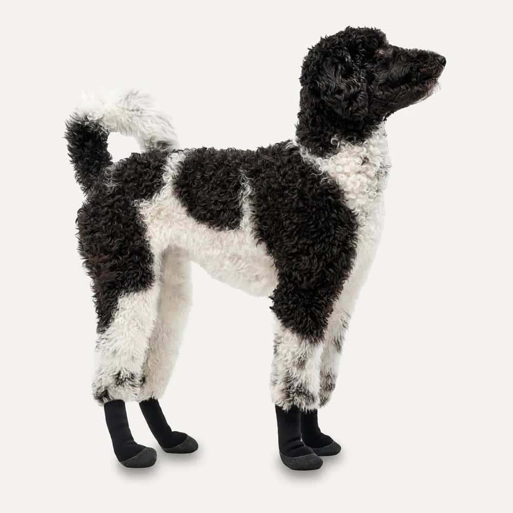 sosete-iarna-goeez-lites-caini-L-1