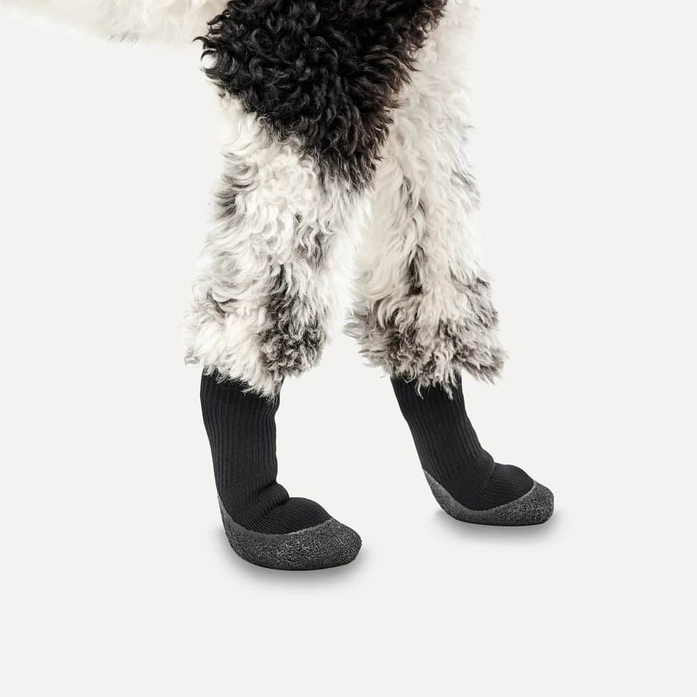 sosete-iarna-goeez-lites-caini-L=2