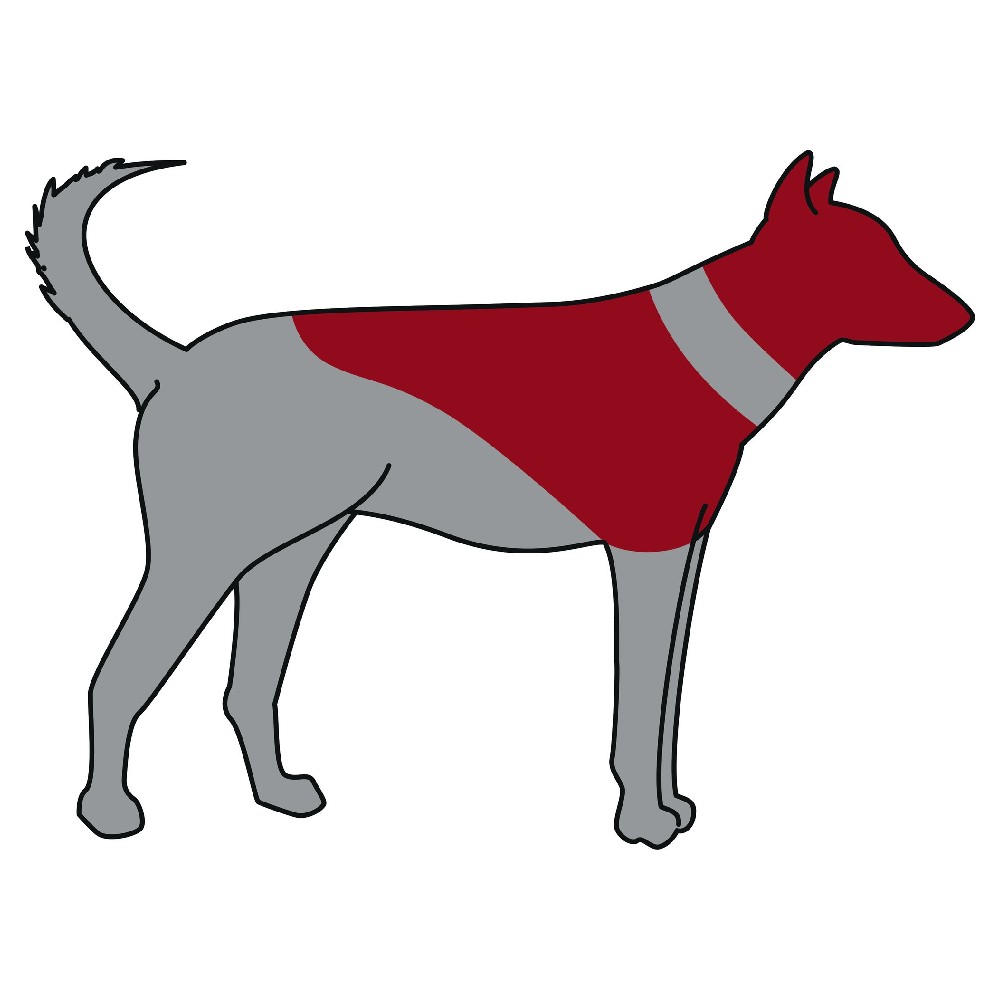 guler-protector-gonflabil-trixie-caini-1