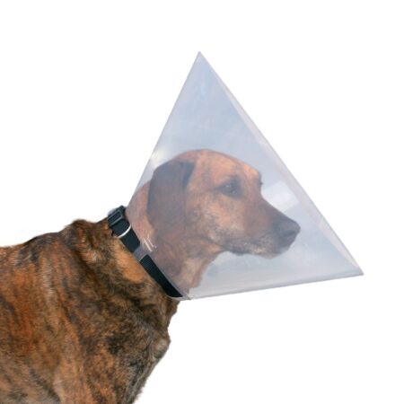 Guler protector Trixie pentru câini, din plastic, XS-S: 22-25 cm/10 cm, transparent