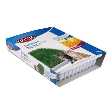 Iarbă soft Trixie, în castron, pentru pisici, 100 g