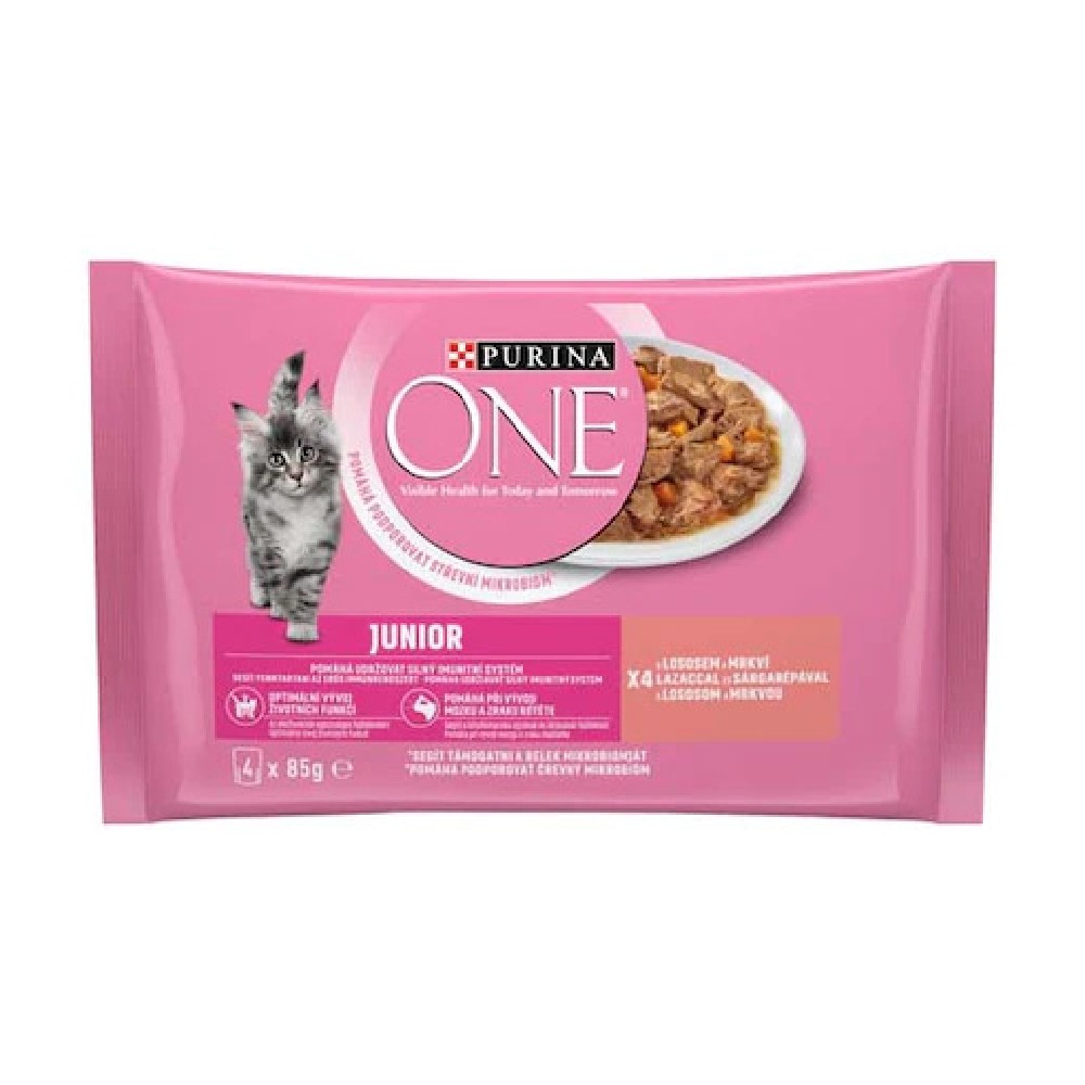 hrana-umeda-purina-one-pisici-junior