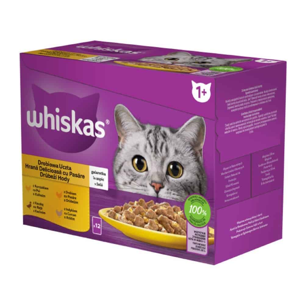 hrana-umeda-whiskas-pisici