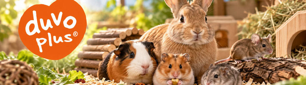 Banner categorie de produs cu animale fericite și logoul companiei Duvo Plus