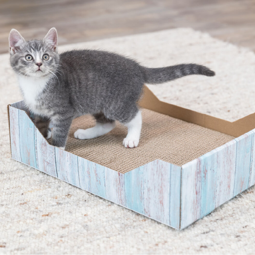 jucarie-trixie-pisici-carton-sisal-pat-3