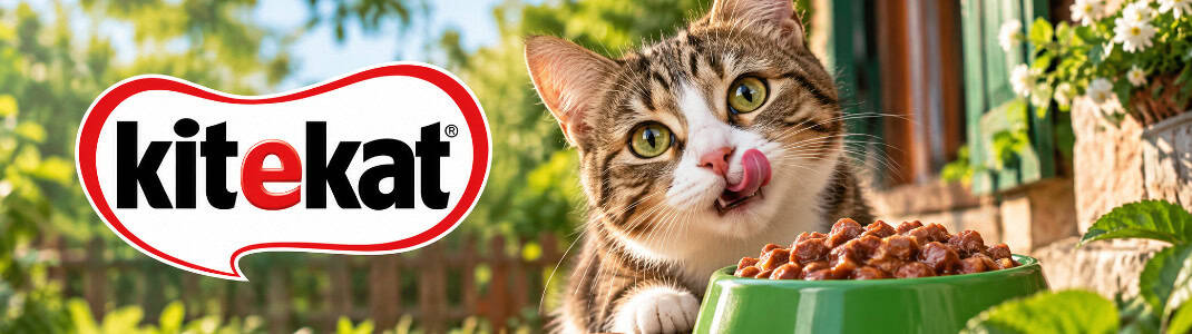 Banner cu logoul companiei kitekat alături de animale fericire și produsele lor
