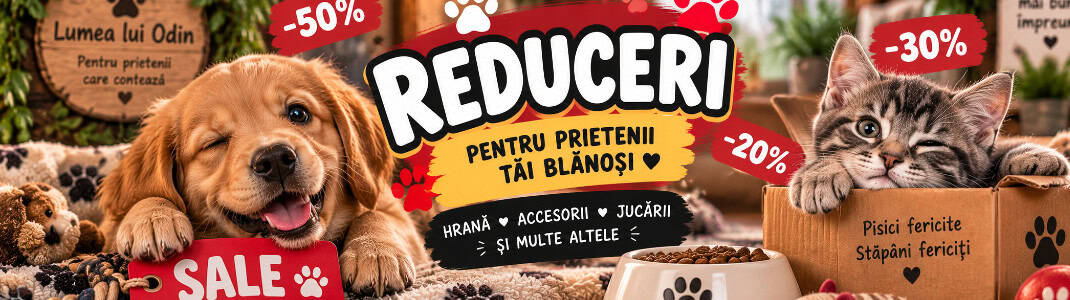 Reduceri speciale animale, cu un pui de câine și de pisică