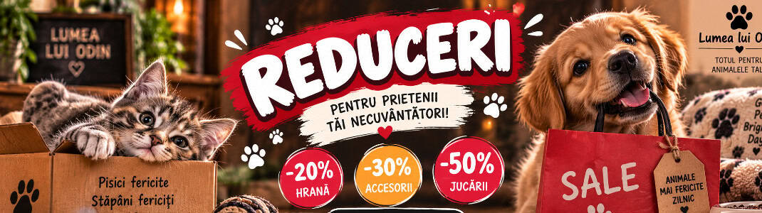 Promoții și reduceri alături de un pui de pisică și un pui de câine
