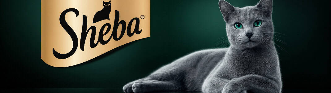 Banner cu logoul companiei Sheba alături de produsele lor 