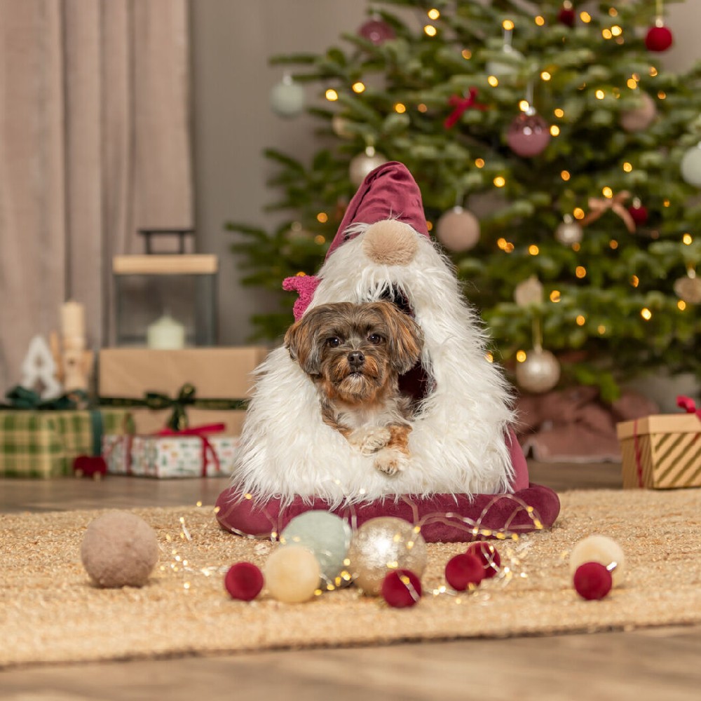 culcus-trixie-xmas-pestera-pitici-caini-pisici-2