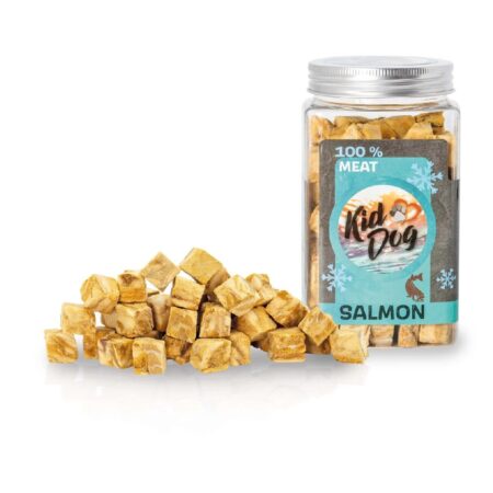 Recompense KidDog Super Premium pentru câini, cuburi din somon liofilizat, 80 g